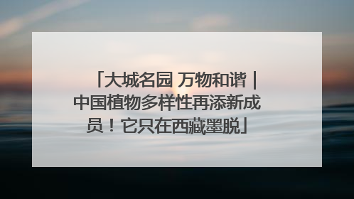 大城名园 万物和谐｜中国植物多样性再添新成员！它只在西藏墨脱