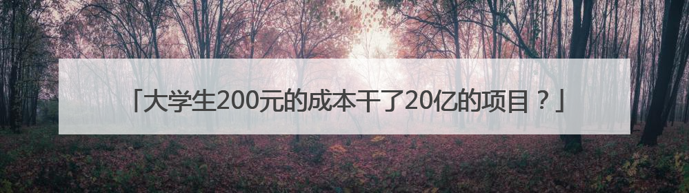 大学生200元的成本干了20亿的项目？