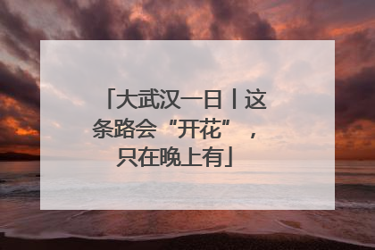 大武汉一日丨这条路会“开花”，只在晚上有