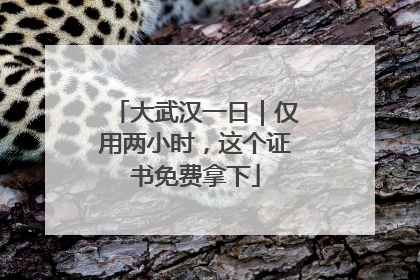 大武汉一日｜仅用两小时，这个证书免费拿下