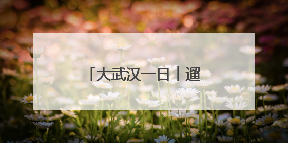 大武汉一日︱遛娃好去处＋1！免费，还无需预约