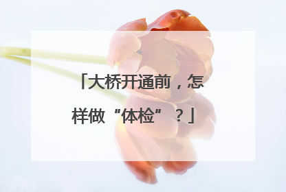 大桥开通前，怎样做“体检”？