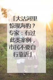 大沽河里惊现海豹？专家：有过此类案例，市民不要自行靠近