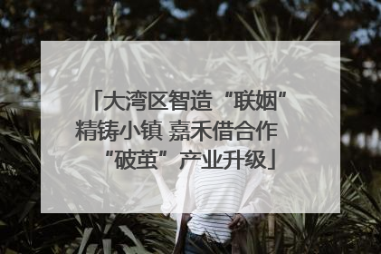 大湾区智造“联姻”精铸小镇 嘉禾借合作“破茧”产业升级