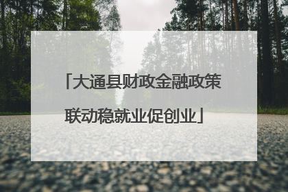 大通县财政金融政策联动稳就业促创业