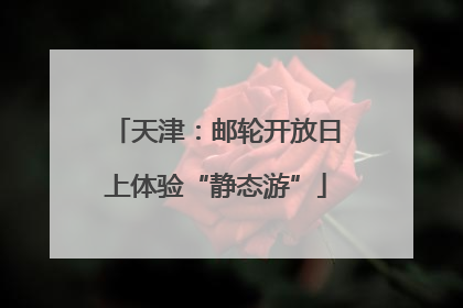 天津：邮轮开放日上体验“静态游”