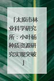 太原市林业科学研究所：小叶杨种质资源研究实现突破