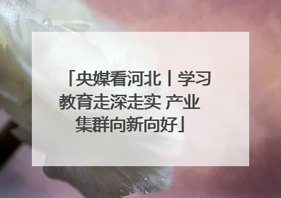央媒看河北丨学习教育走深走实 产业集群向新向好