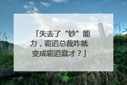 失去了“钞”能力，霸道总裁咋就变成霸道蠢才？