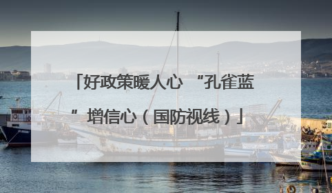 好政策暖人心 “孔雀蓝”增信心（国防视线）