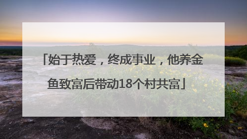 始于热爱，终成事业，他养金鱼致富后带动18个村共富