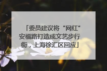 委员建议将“网红”安福路打造成文艺步行街，上海徐汇区回应