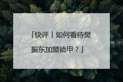 快评丨如何看待樊振东加盟德甲？