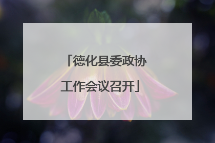 德化县委政协工作会议召开