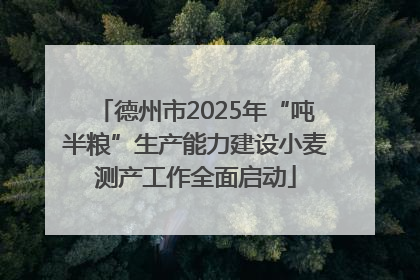 德州市2025年“吨半粮”生产能力建设小麦测产工作全面启动