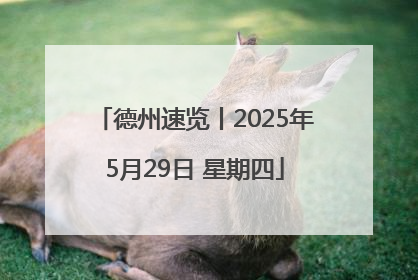 德州速览丨2025年5月29日 星期四