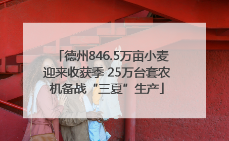 德州846.5万亩小麦迎来收获季 25万台套农机备战“三夏”生产