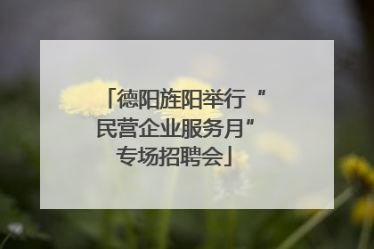 德阳旌阳举行“民营企业服务月”专场招聘会