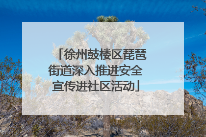 徐州鼓楼区琵琶街道深入推进安全宣传进社区活动