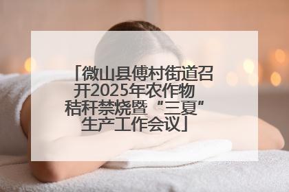 微山县傅村街道召开2025年农作物秸秆禁烧暨“三夏”生产工作会议