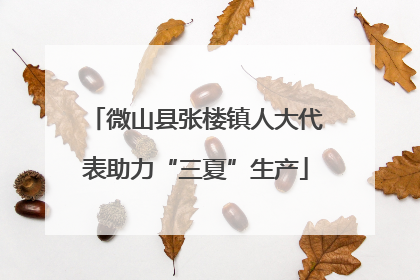 微山县张楼镇人大代表助力“三夏”生产