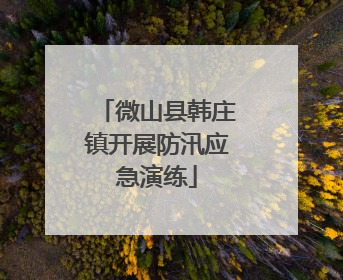 微山县韩庄镇开展防汛应急演练