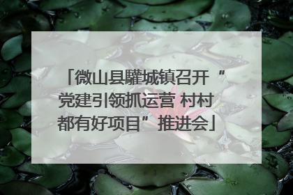 微山县驩城镇召开“党建引领抓运营 村村都有好项目”推进会