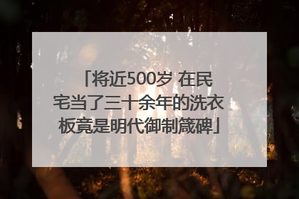 将近500岁 在民宅当了三十余年的洗衣板竟是明代御制箴碑