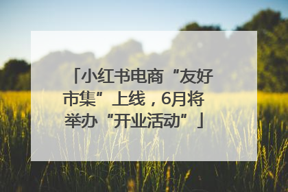 小红书电商“友好市集”上线，6月将举办“开业活动”