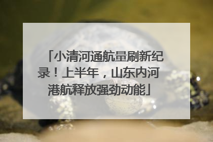 小清河通航量刷新纪录！上半年，山东内河港航释放强劲动能