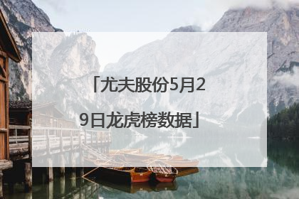 尤夫股份5月29日龙虎榜数据