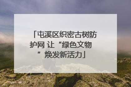 屯溪区织密古树防护网 让“绿色文物”焕发新活力