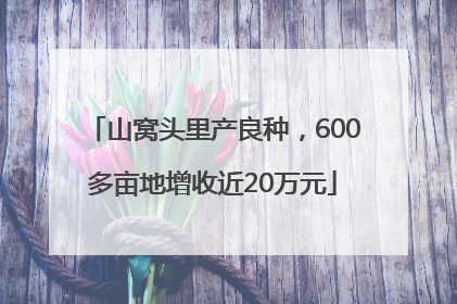 山窝头里产良种，600多亩地增收近20万元