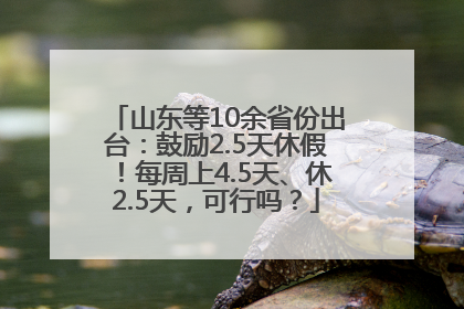 山东等10余省份出台：鼓励2.5天休假！每周上4.5天、休2.5天，可行吗？