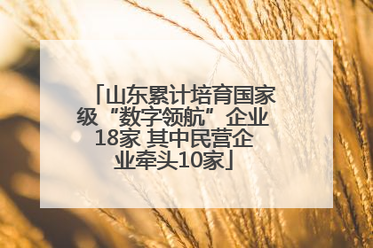 山东累计培育国家级“数字领航”企业18家 其中民营企业牵头10家