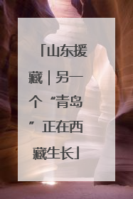 山东援藏｜另一个“青岛”正在西藏生长