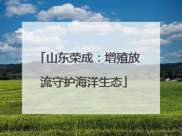 山东荣成：增殖放流守护海洋生态