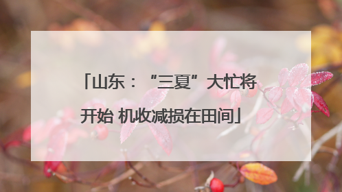 山东：“三夏”大忙将开始 机收减损在田间