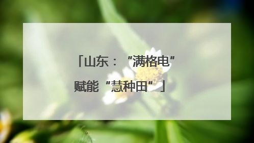 山东：“满格电”赋能“慧种田”