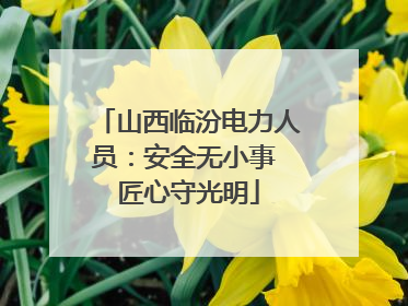 山西临汾电力人员：安全无小事 匠心守光明