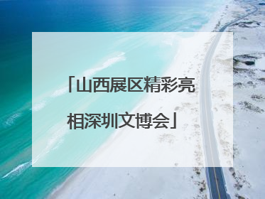 山西展区精彩亮相深圳文博会