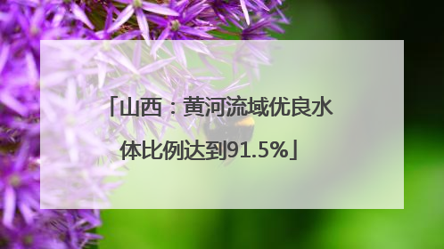 山西：黄河流域优良水体比例达到91.5%
