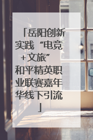 岳阳创新实践“电竞+文旅” 和平精英职业联赛嘉年华线下引流