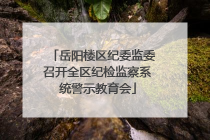 岳阳楼区纪委监委召开全区纪检监察系统警示教育会