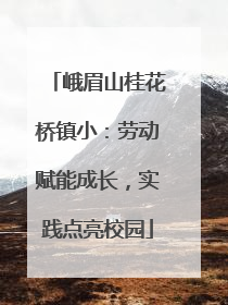 峨眉山桂花桥镇小：劳动赋能成长，实践点亮校园