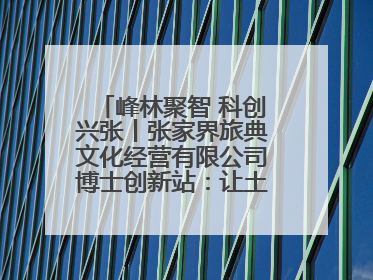 峰林聚智 科创兴张丨张家界旅典文化经营有限公司博士创新站：让土家织锦“智”造出非遗新传奇