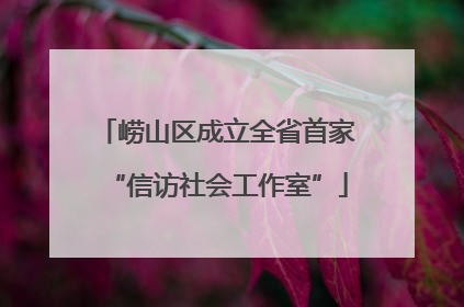 崂山区成立全省首家“信访社会工作室”
