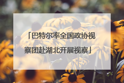 巴特尔率全国政协视察团赴湖北开展视察