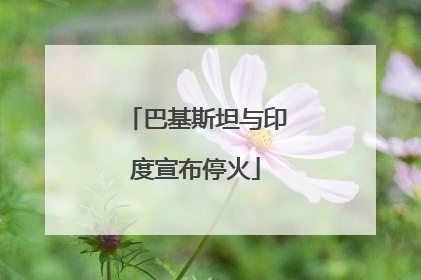 巴基斯坦与印度宣布停火