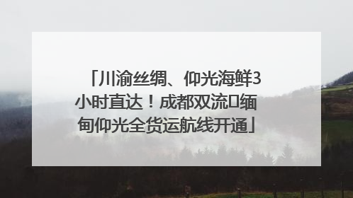 川渝丝绸、仰光海鲜3小时直达！成都双流⇌缅甸仰光全货运航线开通